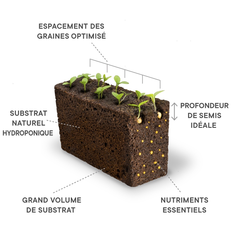 Le Lingot est une recharge de plante prête-à-l'emploi intégrant substrat, graines et nutriments